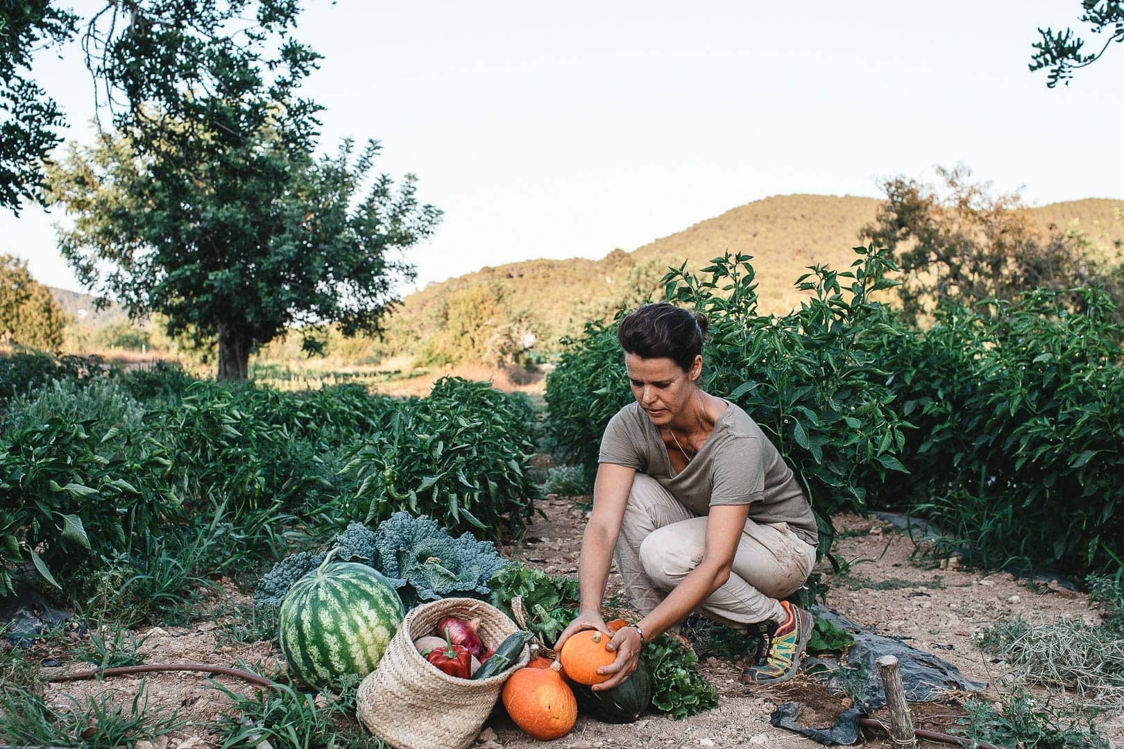 Photograph of Marina harvesting vegetables from her Can Puvil vegetable garden in Ibiza.
