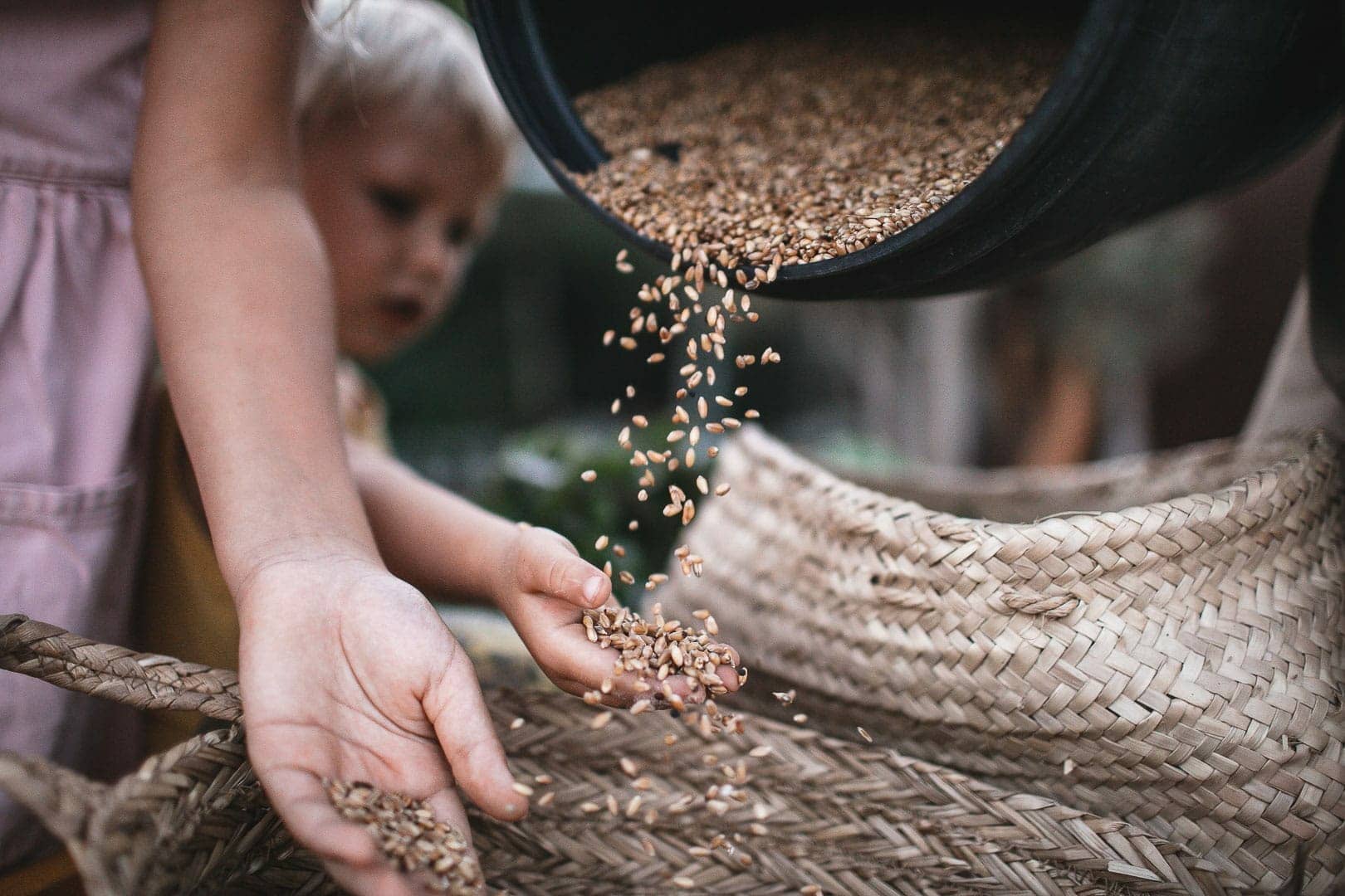 Photographic detail of two children playing with wheat seeds.