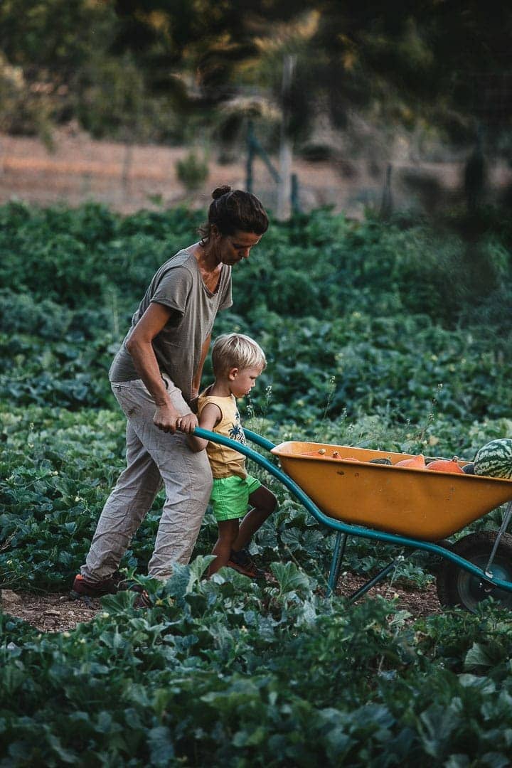 Image of a farmer with her wheelbarrow with vegetables and her son during the harvest in Can Puvil for Corporate Portrait and Product Photography in Ibiza